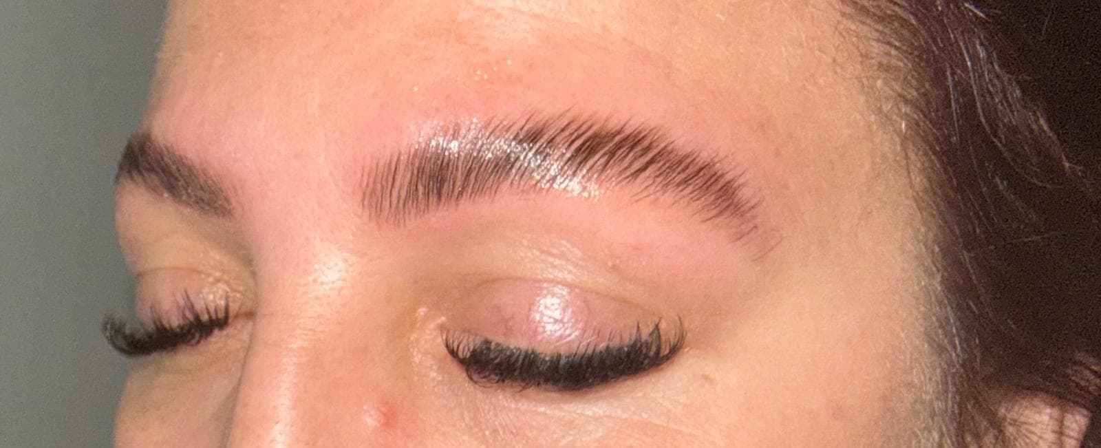 Brow tint and wax with defined shape